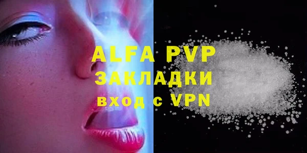 стаф Володарск