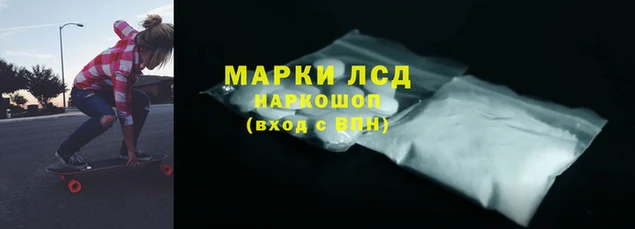 стаф Володарск